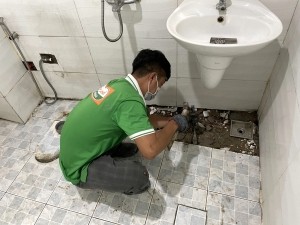 Xử lý mùi hôi nhà vệ sinh